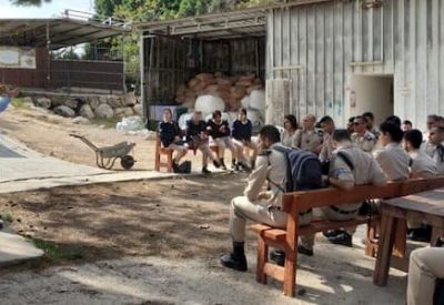 סדנאות גמילה צהל